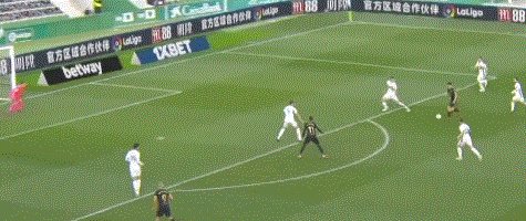 1611507025268046052.gif 5805.gif